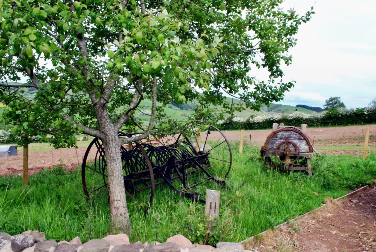 Eco Cottage Joe The Buck Крейвен-Армс Экстерьер фото